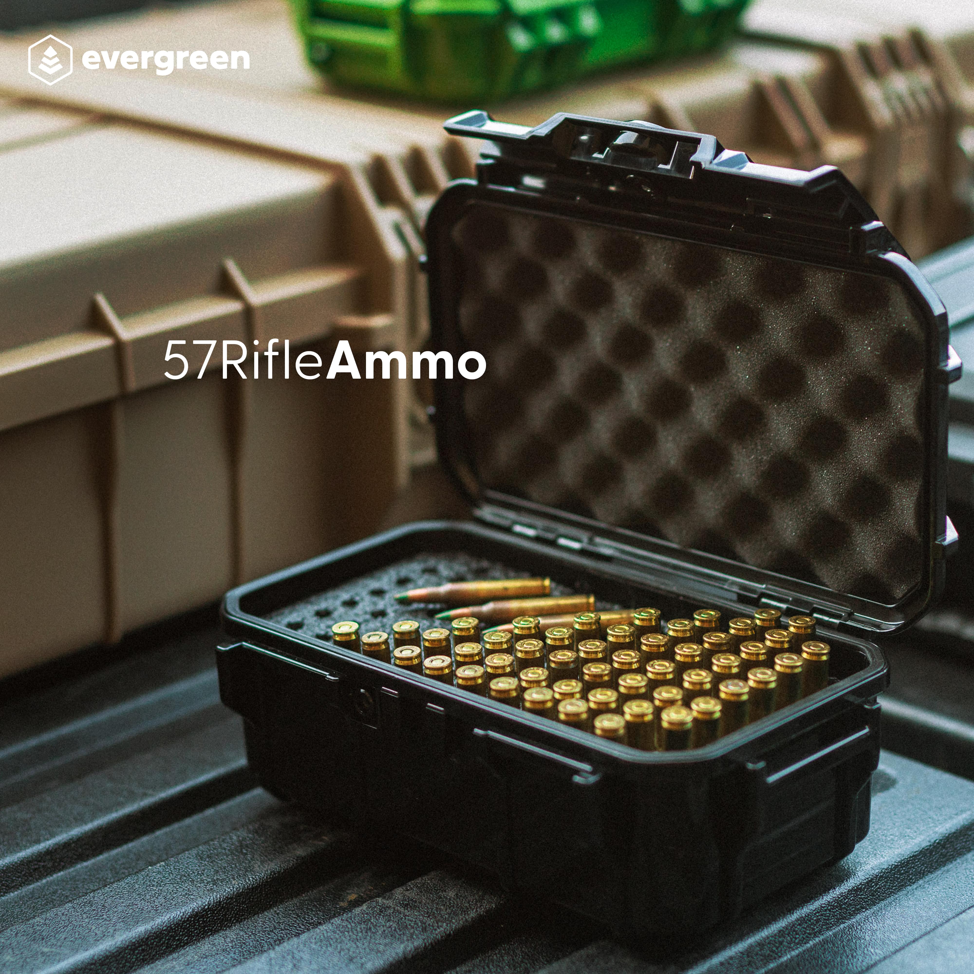 Ammo Storage Box: 223 * Holds 100 Rounds - Image 2