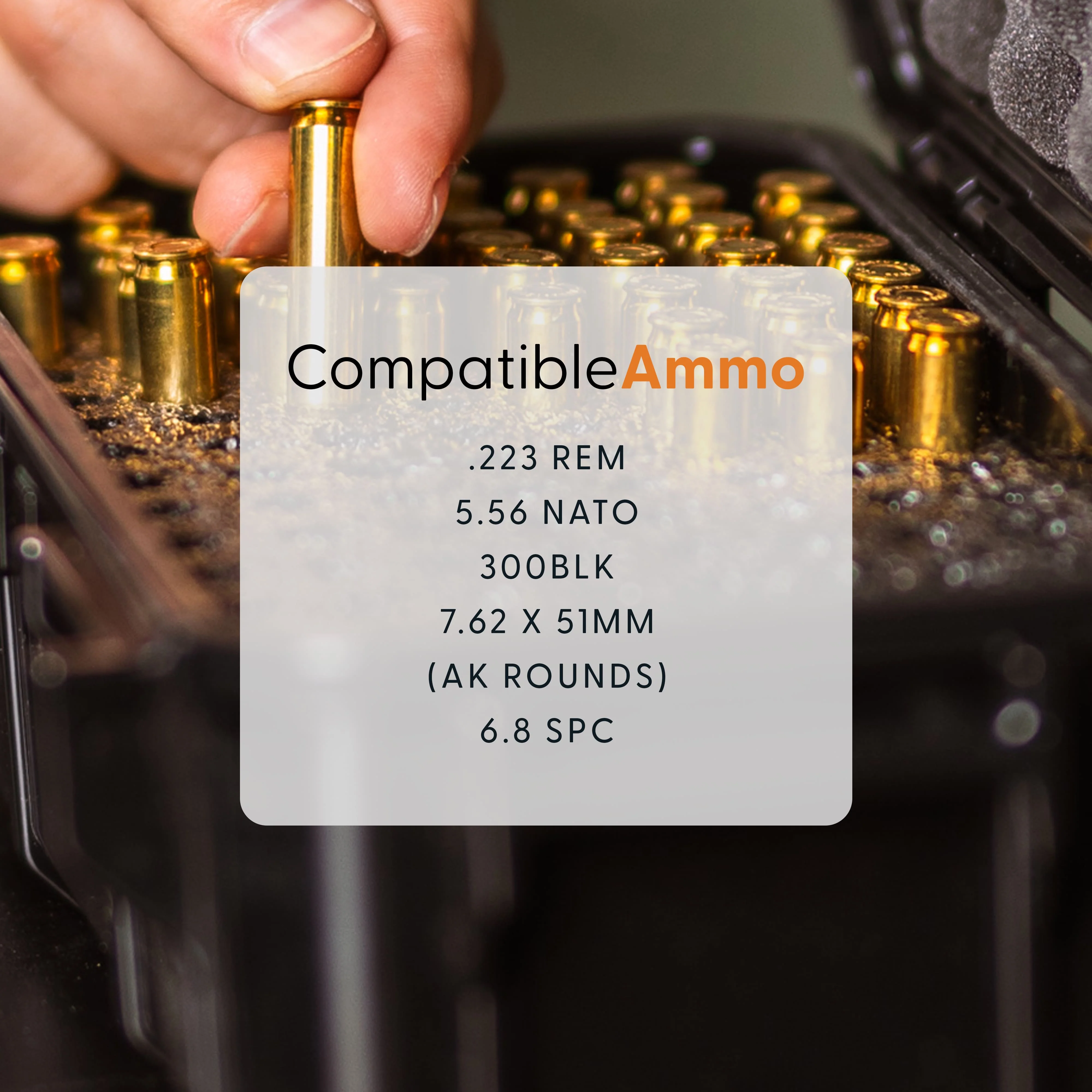 Ammo Storage Box: 223 * Holds 100 Rounds - Image 3