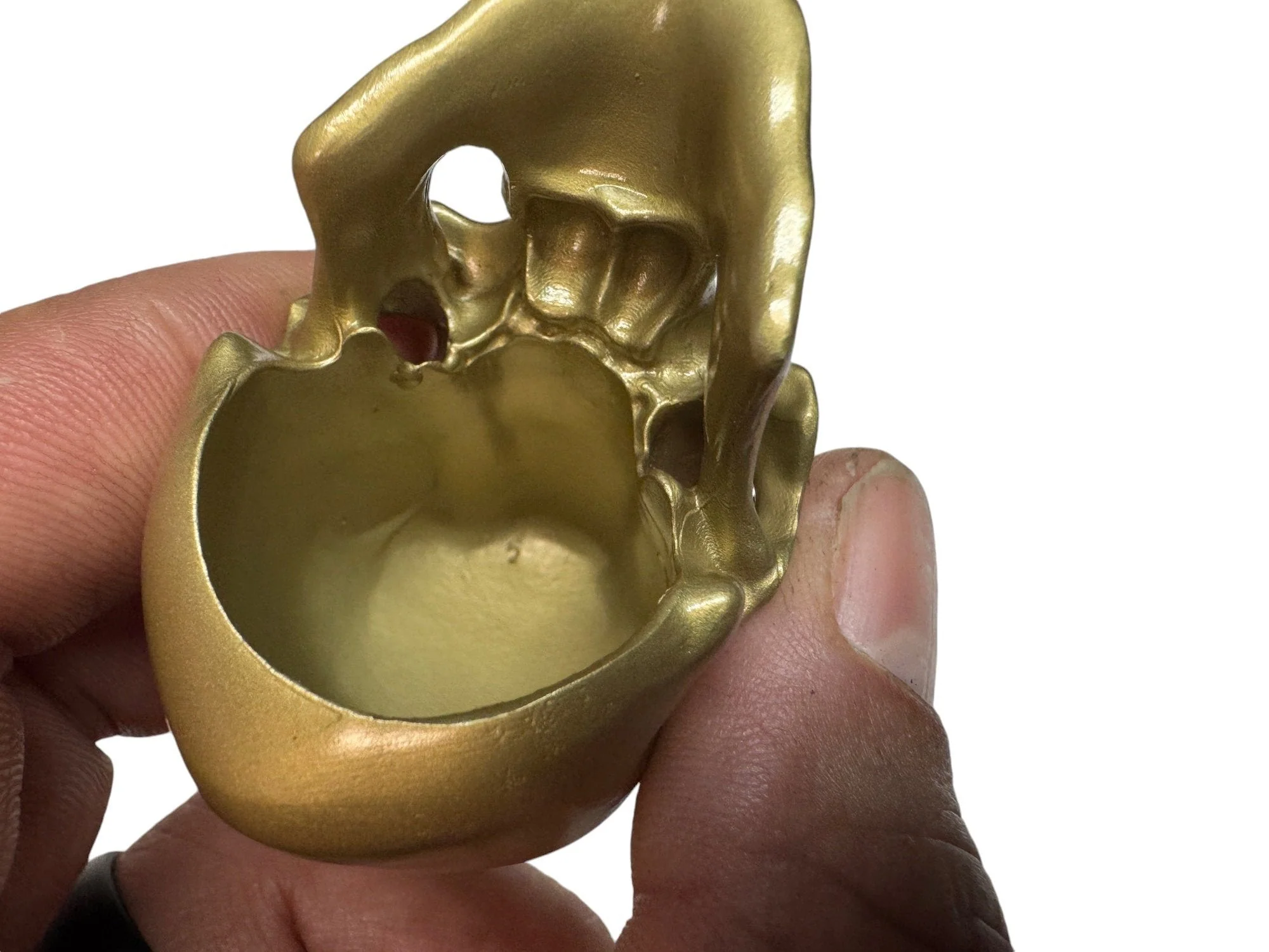Brass Omni-Mount Colossus Skull by Maratac® 🚨 "Prime" Sale! 🚨 - Image 7