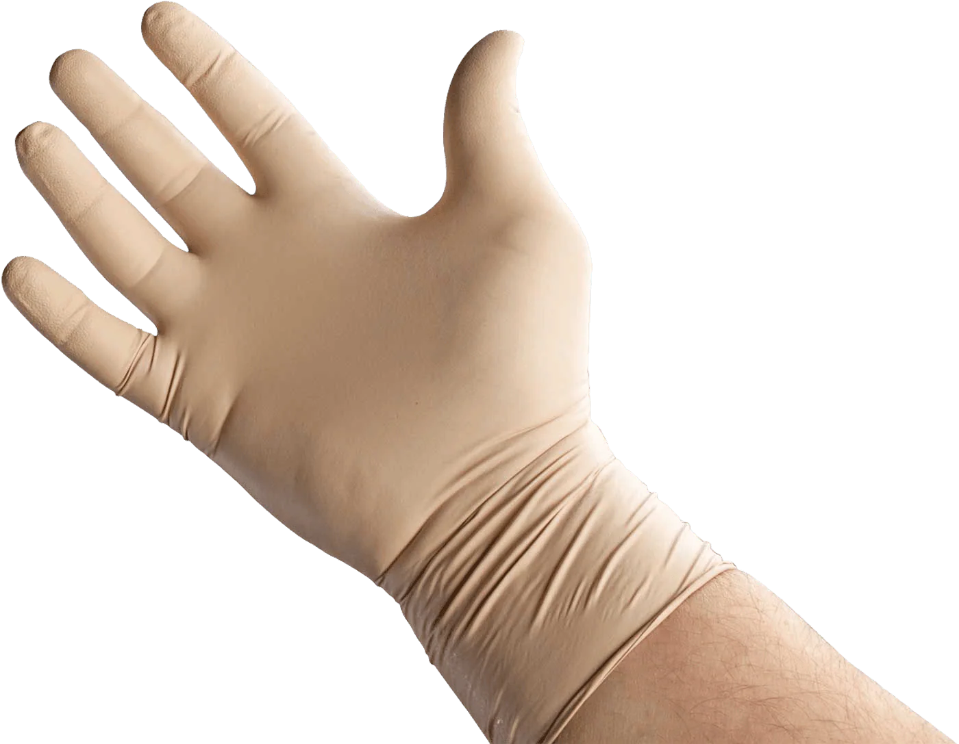 NAR BEAR CLAW GLOVES 1 PAIR - Image 2