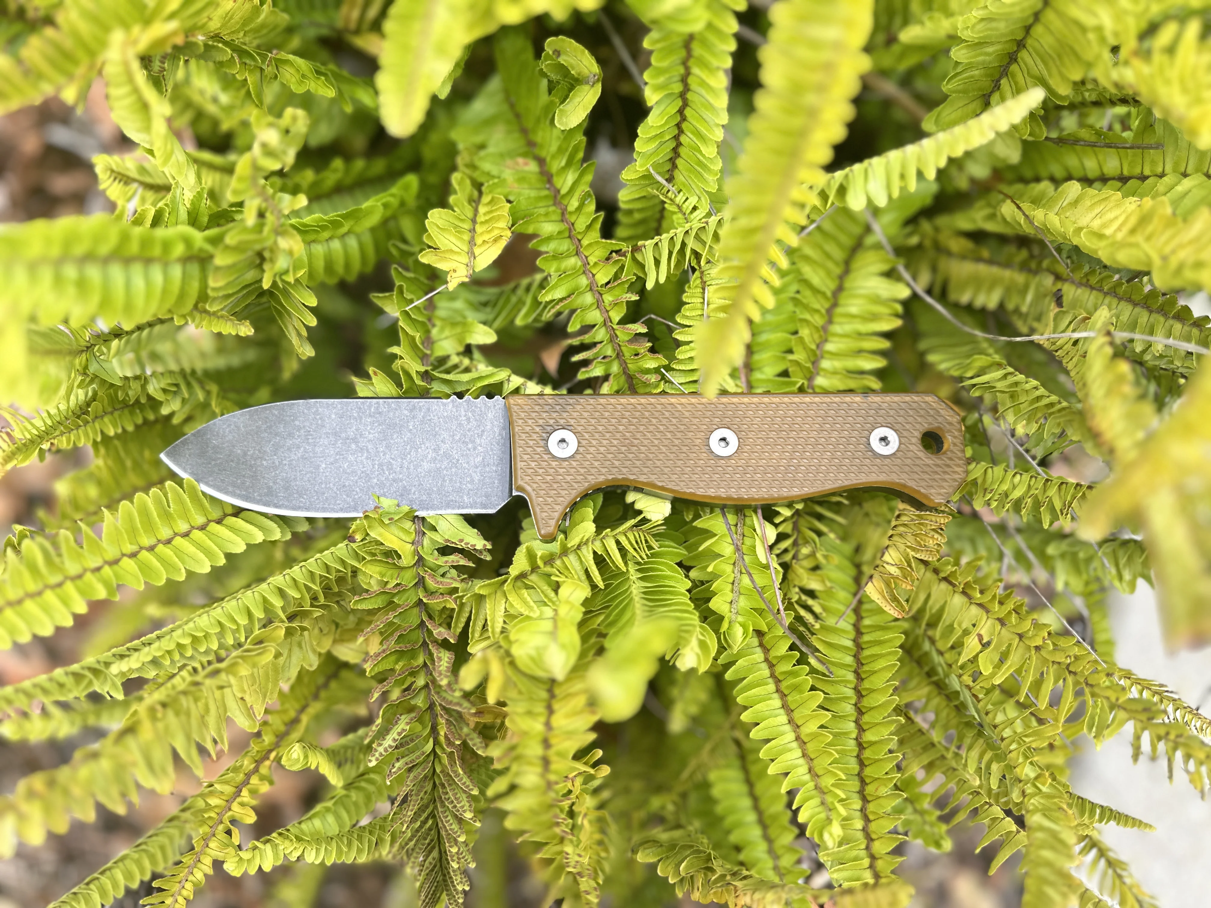 R4A - Ready 4 Action Knife / D2 Fixed Blade ( Ultem® Scales ) 🔥 New Batch 2 🔥 - Image 4