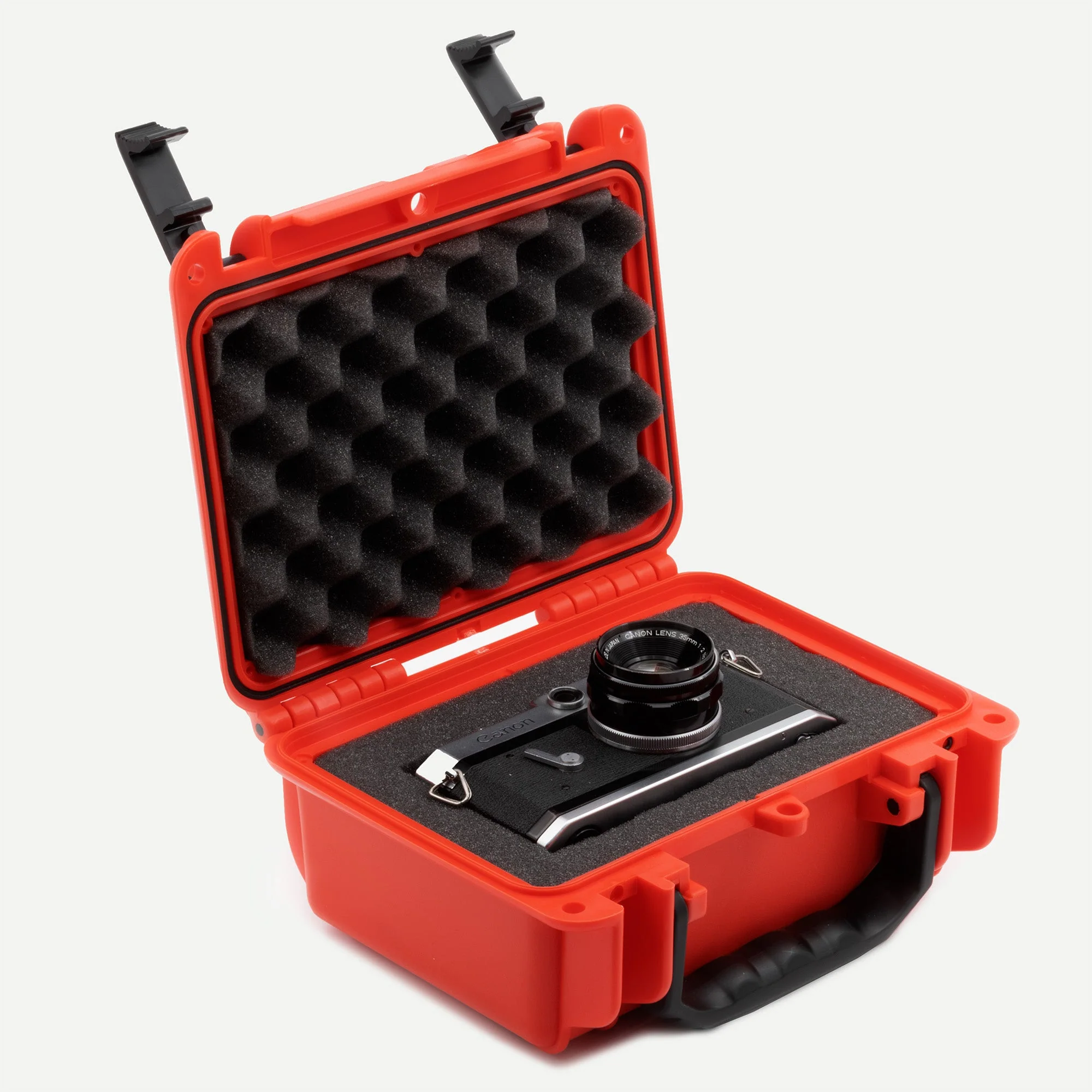 Seahorse 120 - Image 10